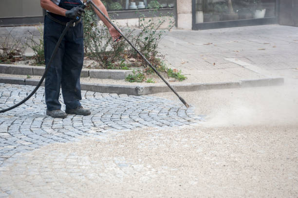 Best Animal Enclosure Cleaning  in Mequon, WI